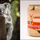 Illustration for article titled Eat peanut butter, save koalas